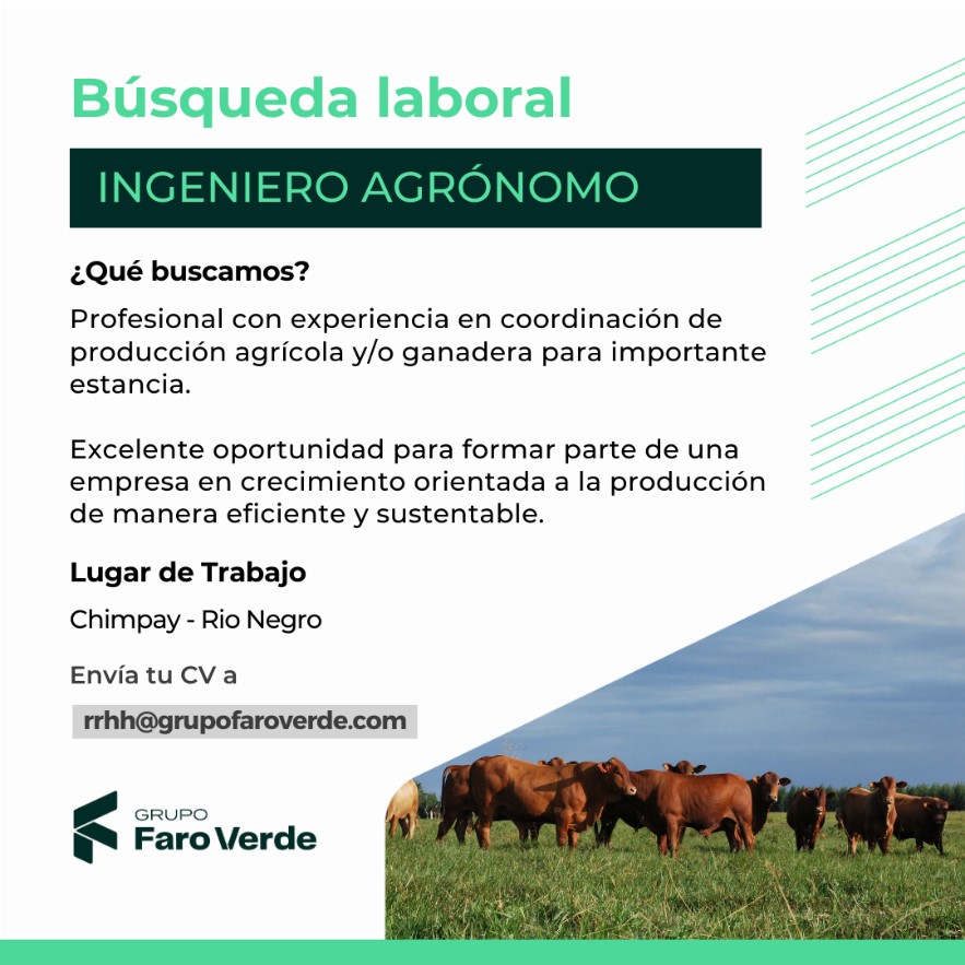 BUSQUEDA LABORAL Grupo Faro Verde