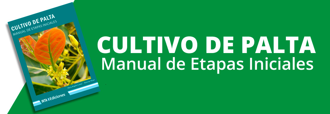 Img cultivo de palta