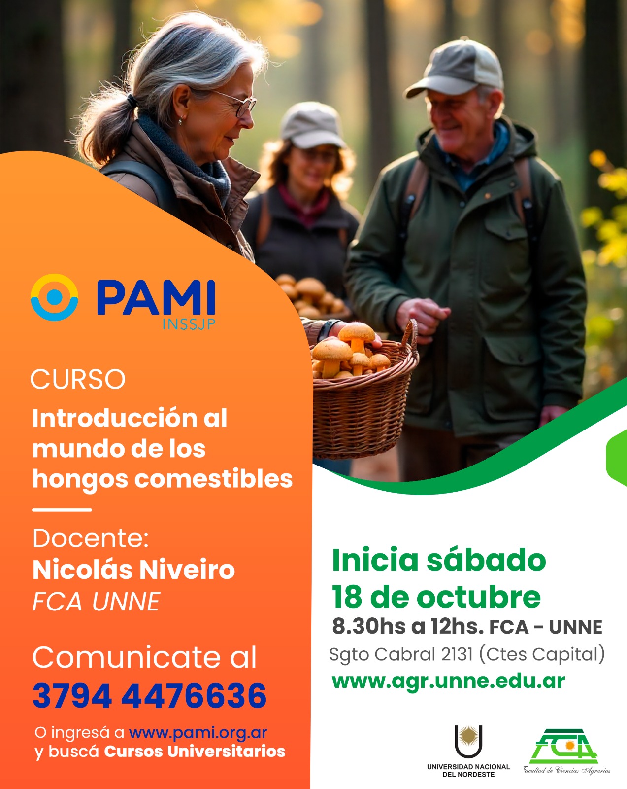 PAMI hongos comestibles