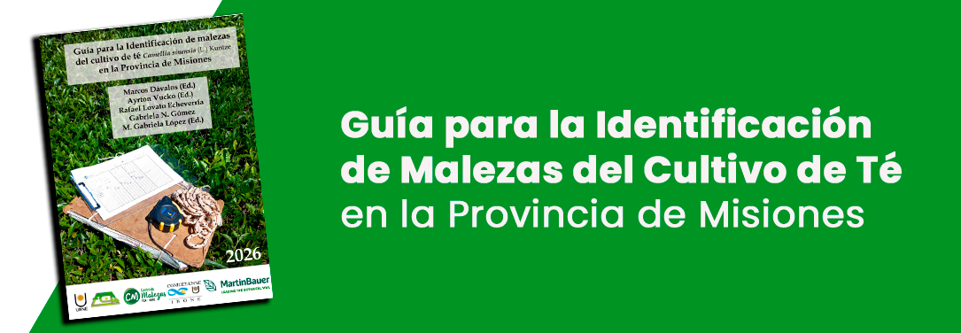 boton guia malezas de te