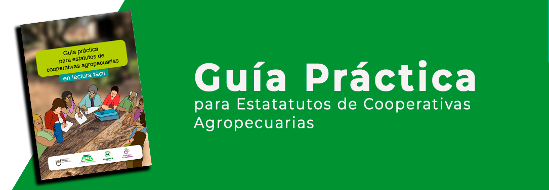 boton guia practica