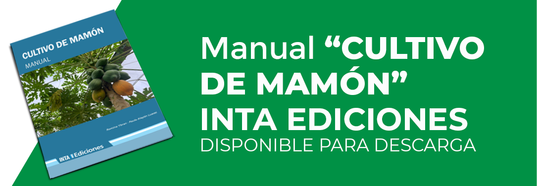 boton manual de mamon